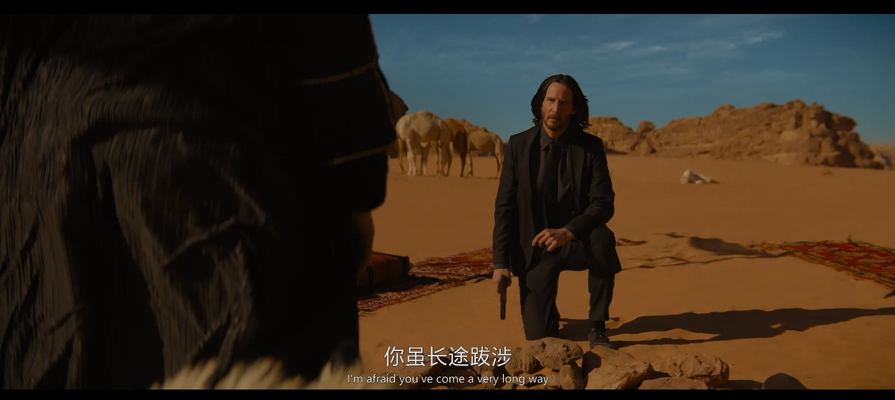 VLC修改后